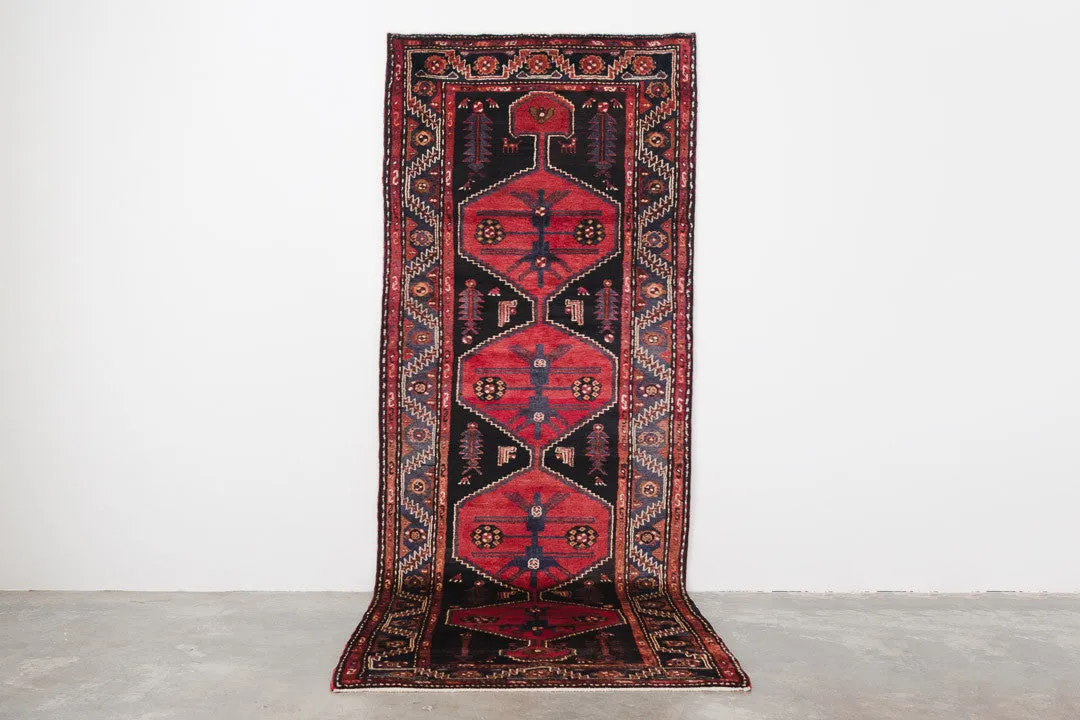 3.5x9.5 Persian Rug | FARINAZ