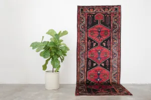 3.5x9.5 Persian Rug | FARINAZ