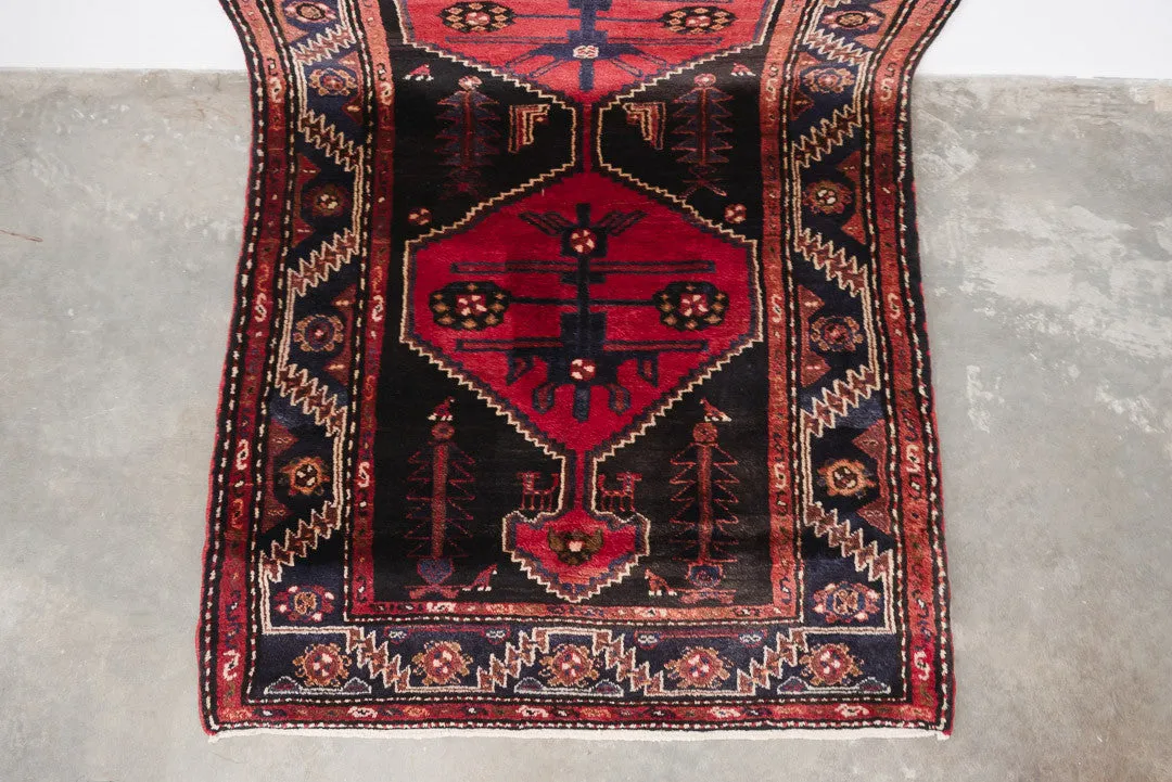 3.5x9.5 Persian Rug | FARINAZ