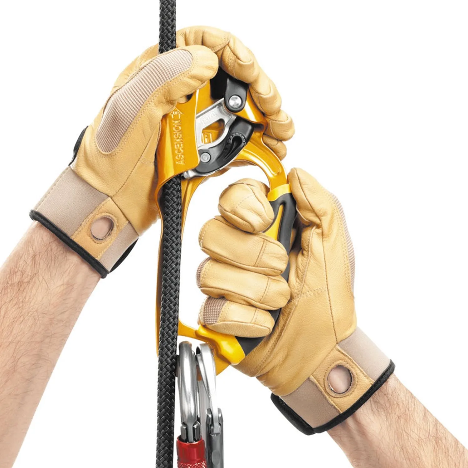 Petzl Ascension Right Ascender