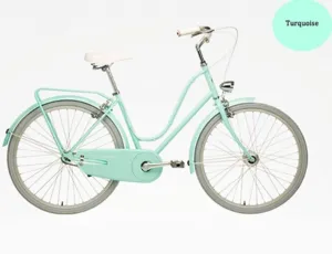 Vintage Bicycle