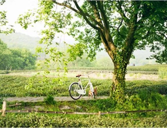 Vintage Bicycle