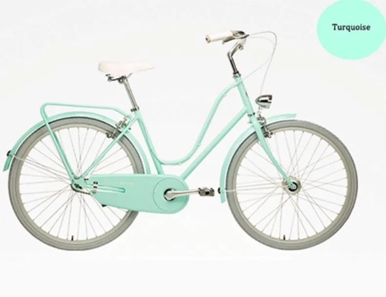 Vintage Bicycle