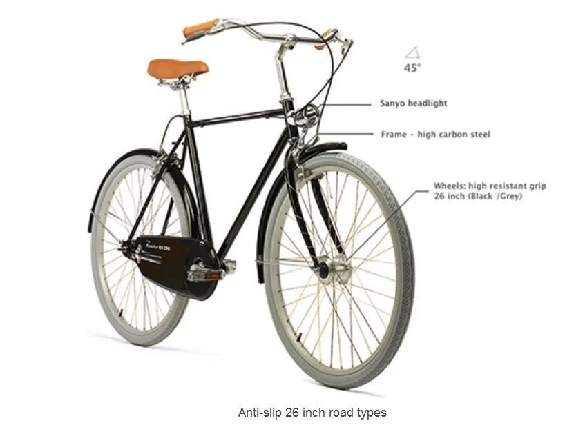 Vintage Bicycle