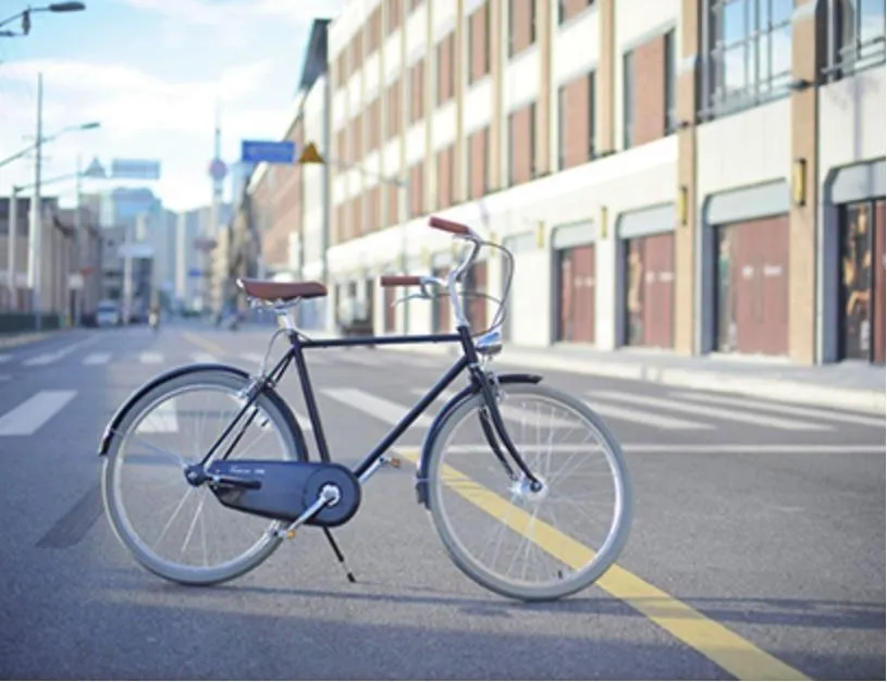 Vintage Bicycle